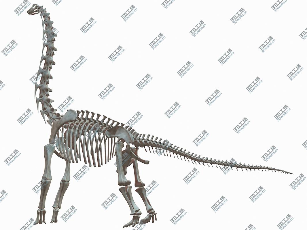 images/goods_img/2021040232/Brachiosaurus Skeleton 3D model/1.jpg